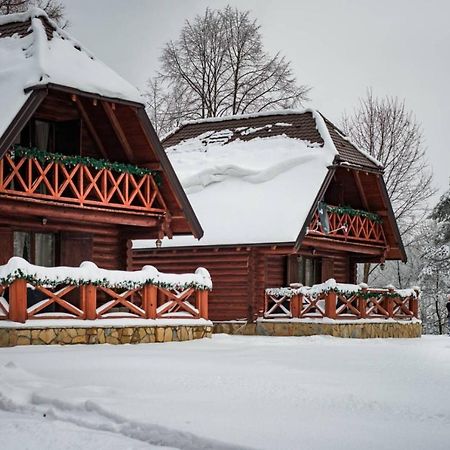 Brvnare Park Borova Villa Zlatibor Luaran gambar
