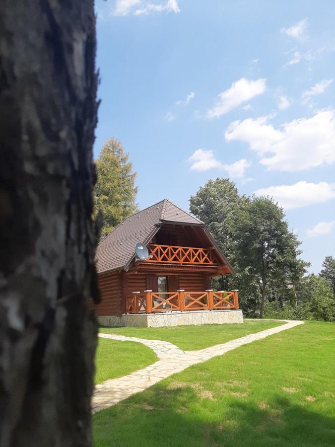 Brvnare Park Borova Villa Zlatibor Luaran gambar