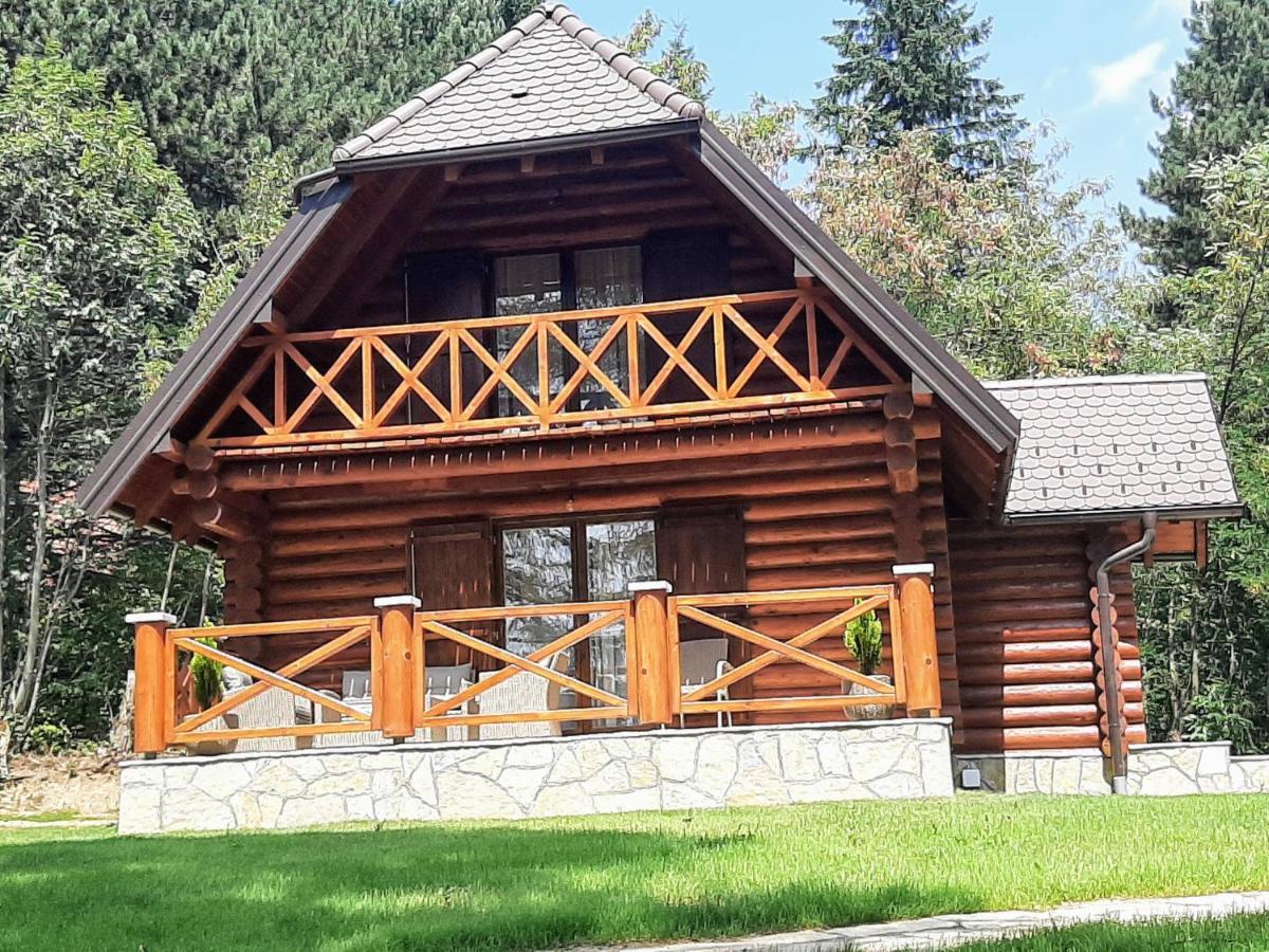 Brvnare Park Borova Villa Zlatibor Luaran gambar