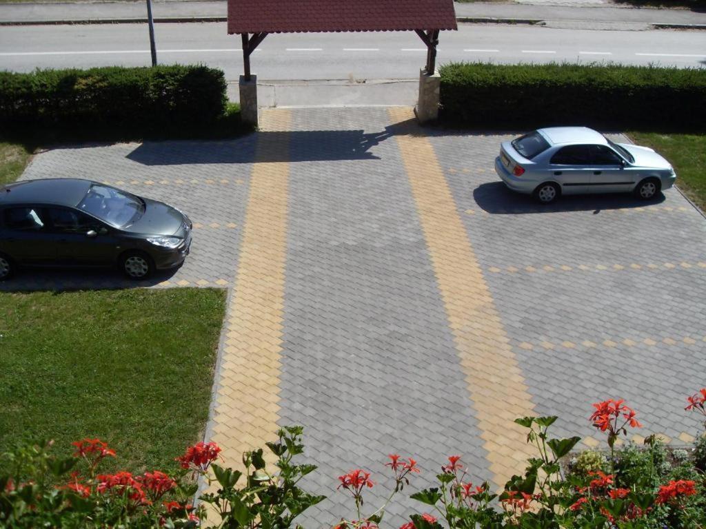 Brvnare Park Borova Villa Zlatibor Luaran gambar