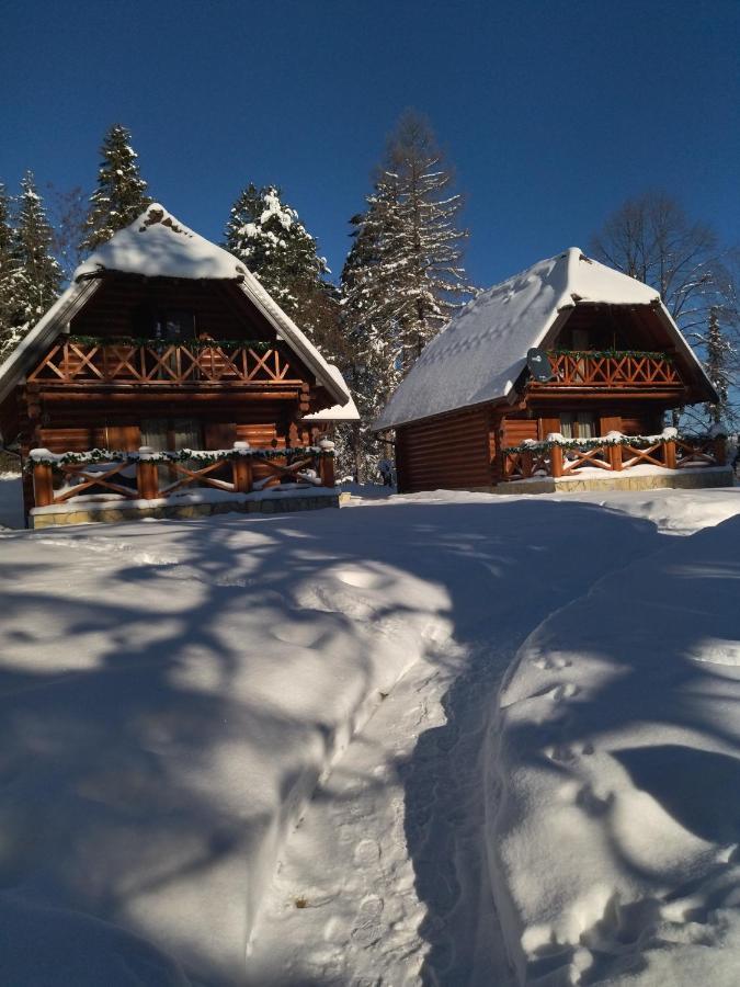 Brvnare Park Borova Villa Zlatibor Luaran gambar