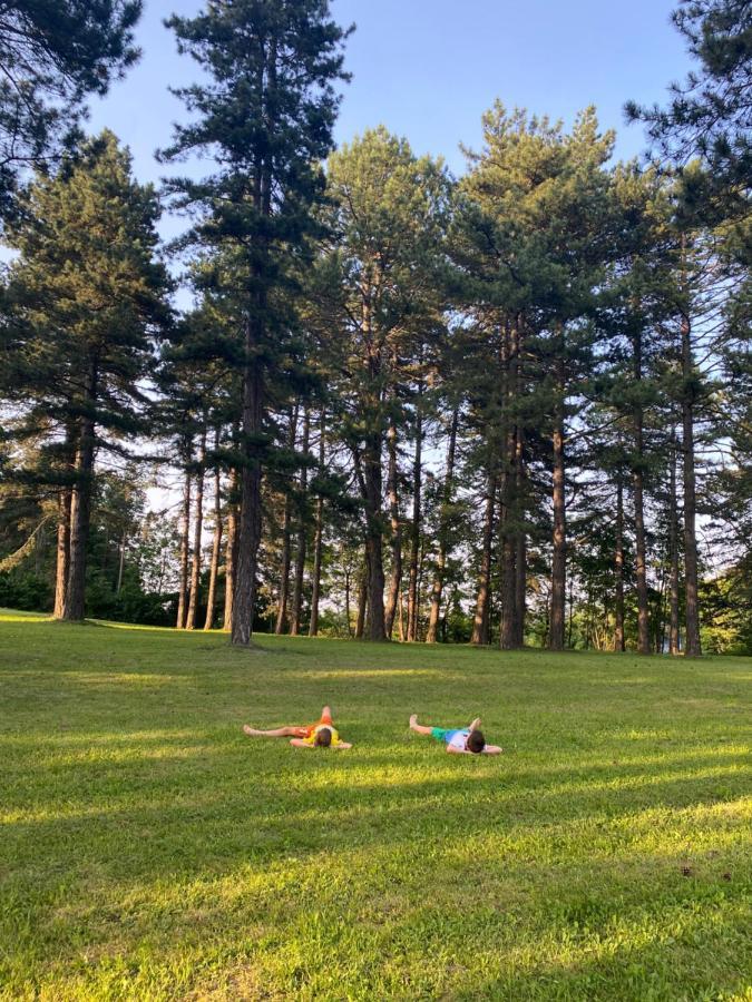 Brvnare Park Borova Villa Zlatibor Luaran gambar